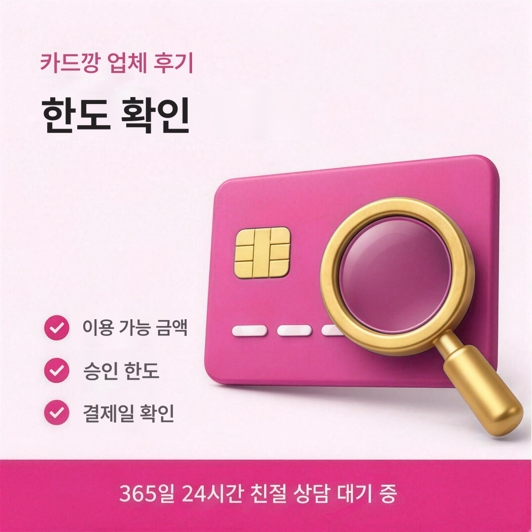 다음머니 카드깡 업체 후기 한도 확인 안내